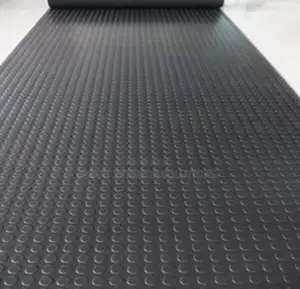 Commercial Antislip Coin Carpet
