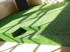Perfect for Stylish Interiors Grass Carpet