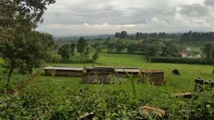 10 Acres For Sale In Rironi