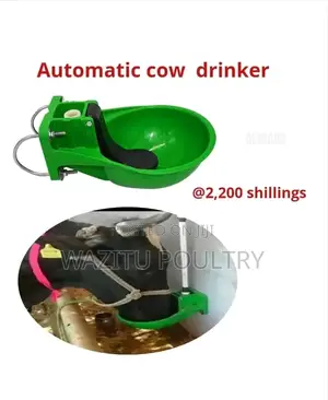 Automatic Drinkers