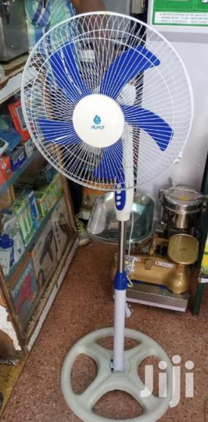 Standing Fans