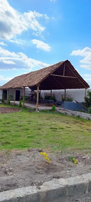 Makuti Installation