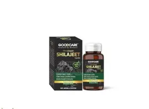Shilajeet Support Brain Health Memory Healthy Aging With Antioxidants