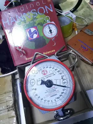 100kg Weighing Scale/Hanson Scale