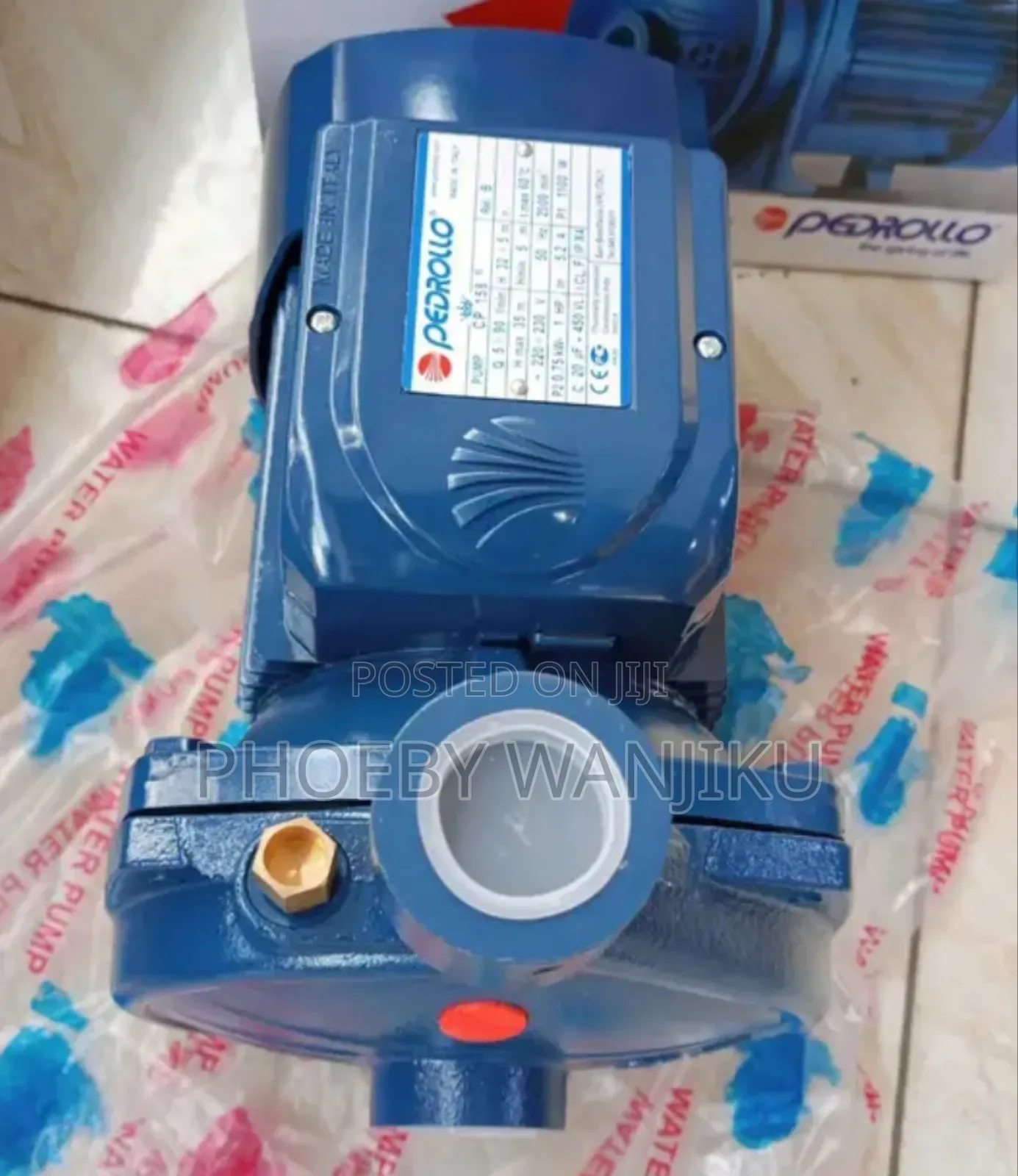 Water Pump/Quality Pedrollo Surface Water Pump