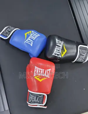 Everlasst Boxing Gloves
Size 14oz