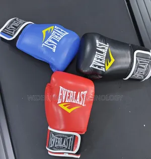 Everlasst Boxing Gloves
Size 14oz