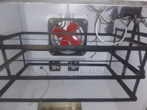 Improved Kienyeji Chicks