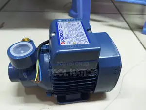 Booster Water Pump Pedrollo