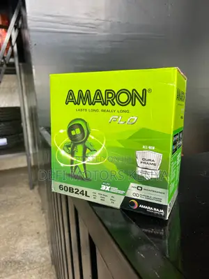 Amaron Car Battery Ns60l