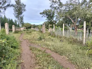 9 Acre Msambweni Beach Property