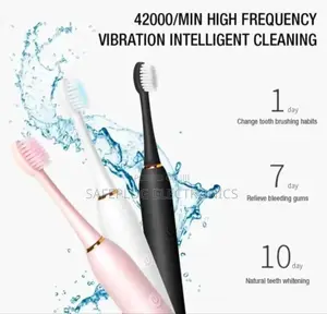 Sonic Electric Toothbrush With 3 Heads