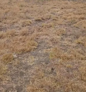 Plot for Sale Utawala Kincur