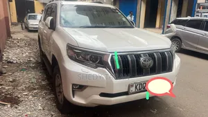 Prados for Hire