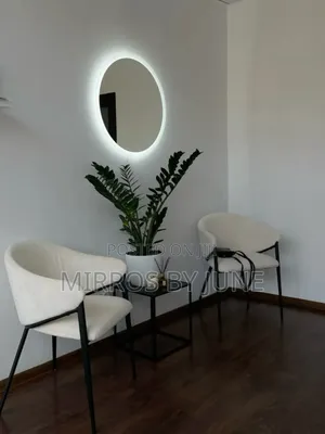 Launch Area Mirror/ Living Room