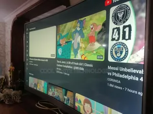 Flatscreen Tv Repairs in Esleigh
