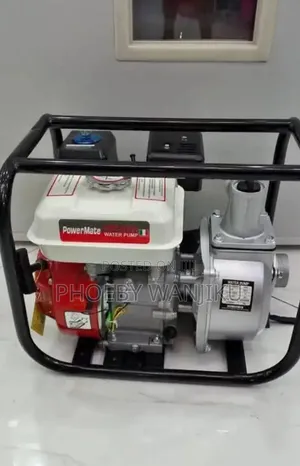 Generator Pump/Powermate Water Pump