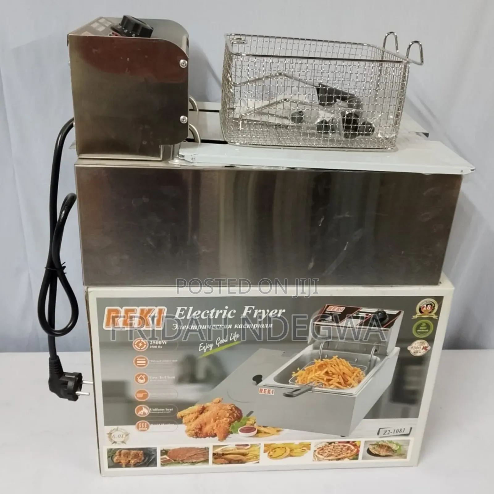 Electric Deep Fryer
