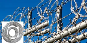 Galvanized Razor Wire 10m Long