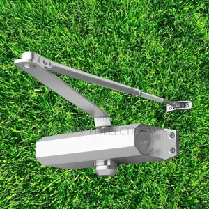 Automatic Adjustable Hydraulic Door Closer With Silver Painting Body