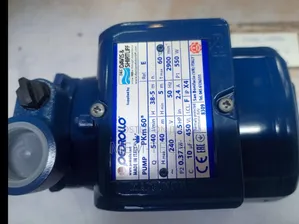 Original Pedrollo Booster Pump/Davis Shirtliff Pump