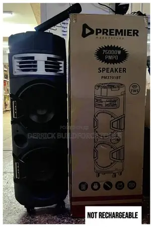 Premier Pm3701 With Bluetooth and Microphone