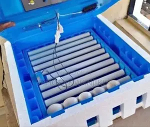 64 Eggs Brooding Machine/Incubator