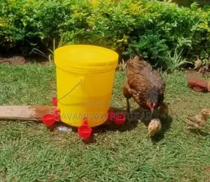 Automatic Filling Chick Watering Feeder Drinking Bowl for Poultry