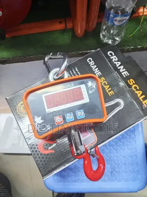 Digital Crane Scale 500kg
