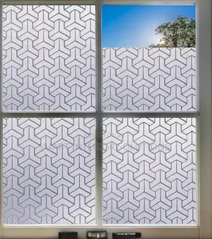 Adhesive Frosted Film/Tint