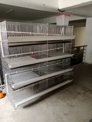 Brooding Cage