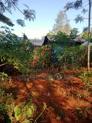 0.4 Acres Land on Sale at Kenol Mugumoini