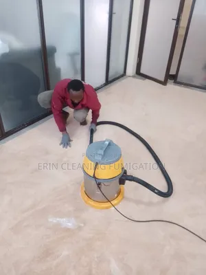 Professional Carpet Cleaning Cockroaches, Bedbugs Services