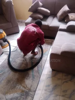 Official House Sofas Cleaning Services