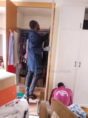 Ready Cleaners in Sofa Fumigation Around