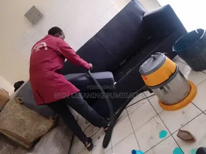Recliner Cleaning Services
