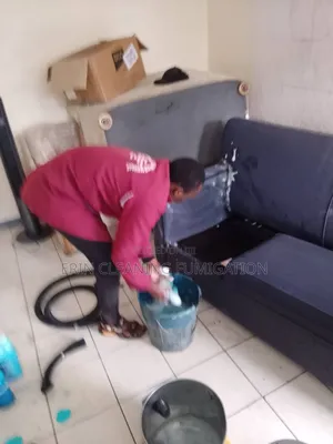 Cleaners in Karen and It's Environment
