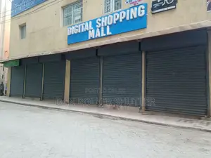 Roller Shutter Doors