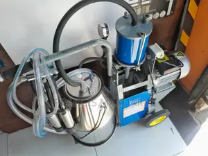Single Bucket Milking