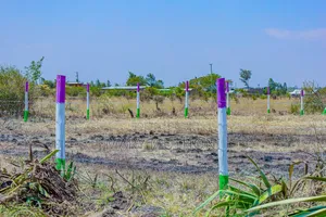 50*100 Plots in Gikumari at 