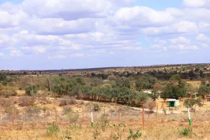 50*100 Plots in Matuu at 