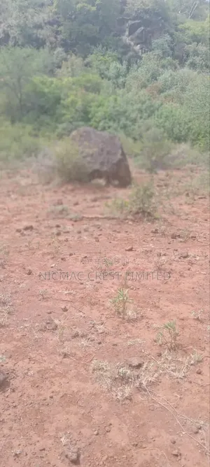 1/2 Plots For Sale
