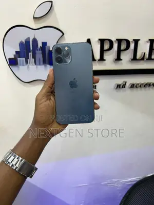 Apple iPhone 12 Pro Max 128 GB Gray