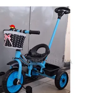 Tricycle With Push Handle