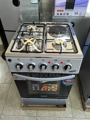 Ecomax Cooker 50*55 3+1 Standing Cooker With Electric Oven