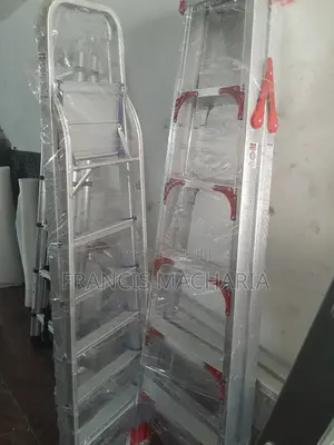Dual Multipurpose Ladder