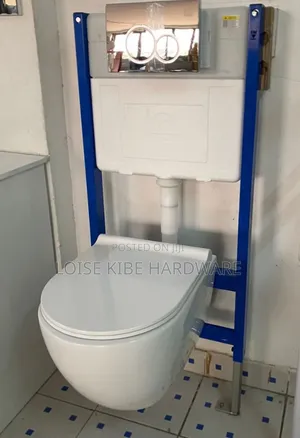 Back to Wall Toilet Available