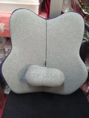 Back Rest/ Back Pillow
