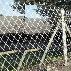 Galvanized Welded Razor Wire 30m