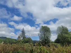 Land for Sell in Ngong